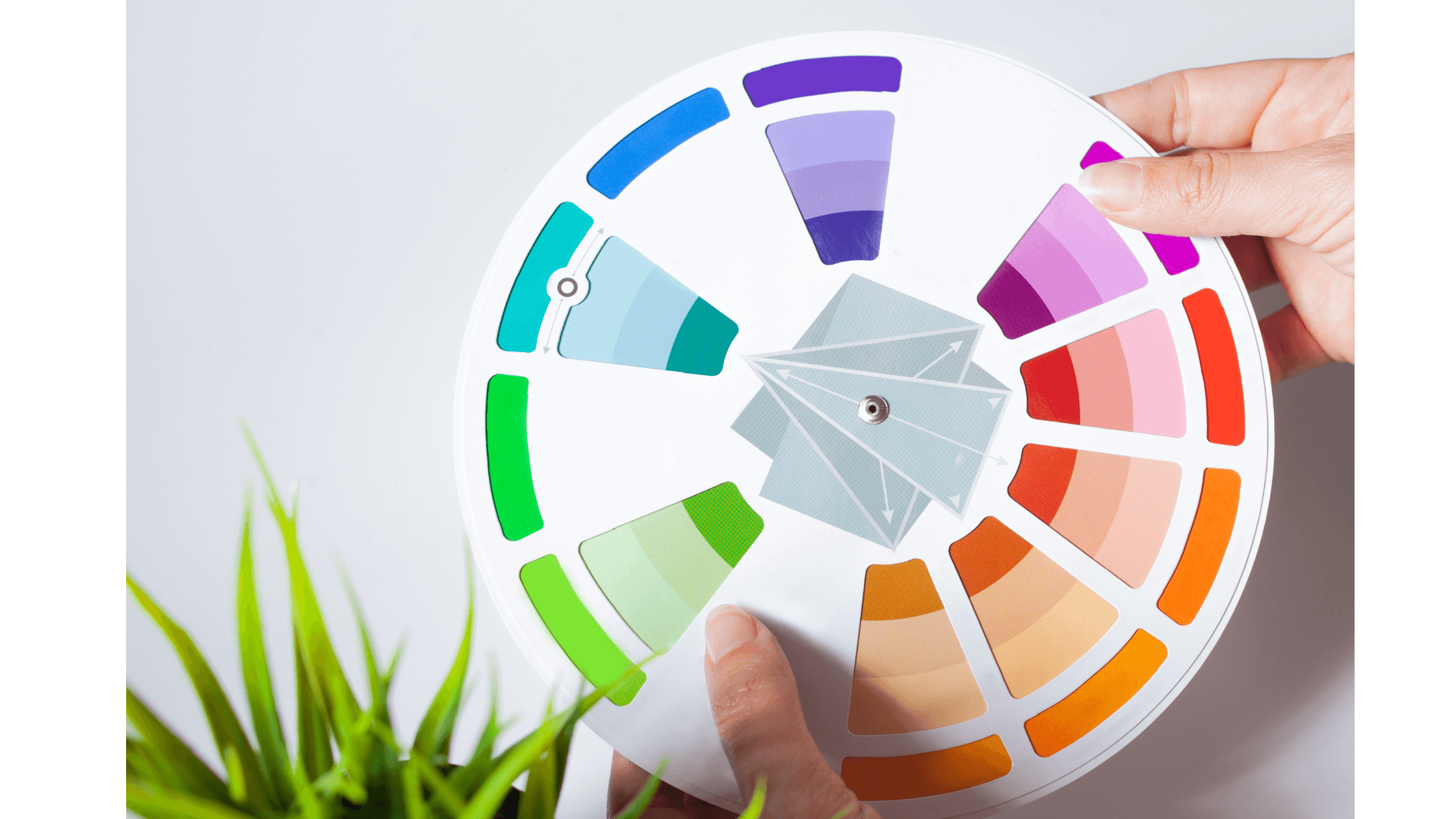 hand holding a color wheel